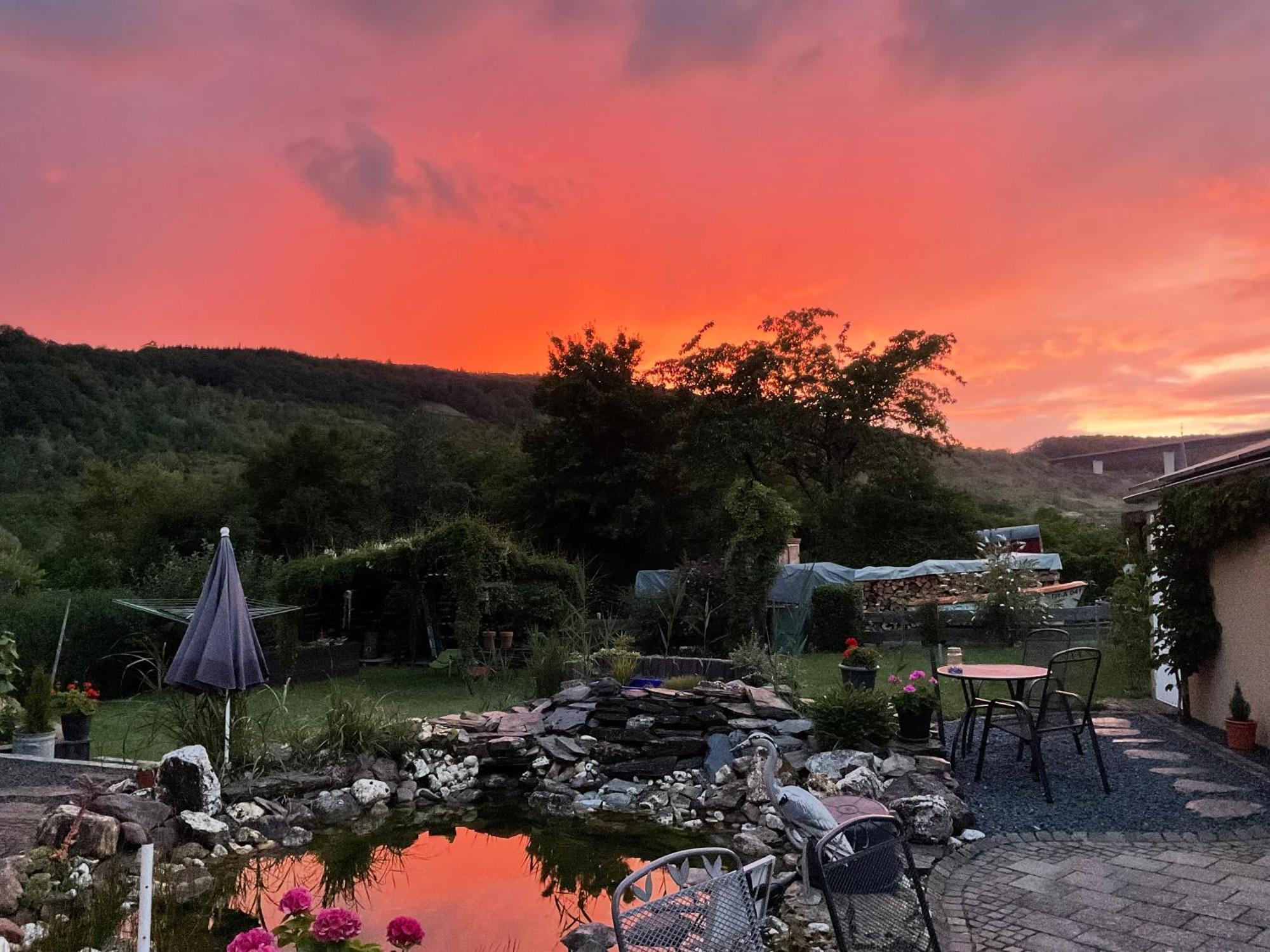Ferienwohnungen Forneck Zeltingen-Rachtig Bagian luar foto