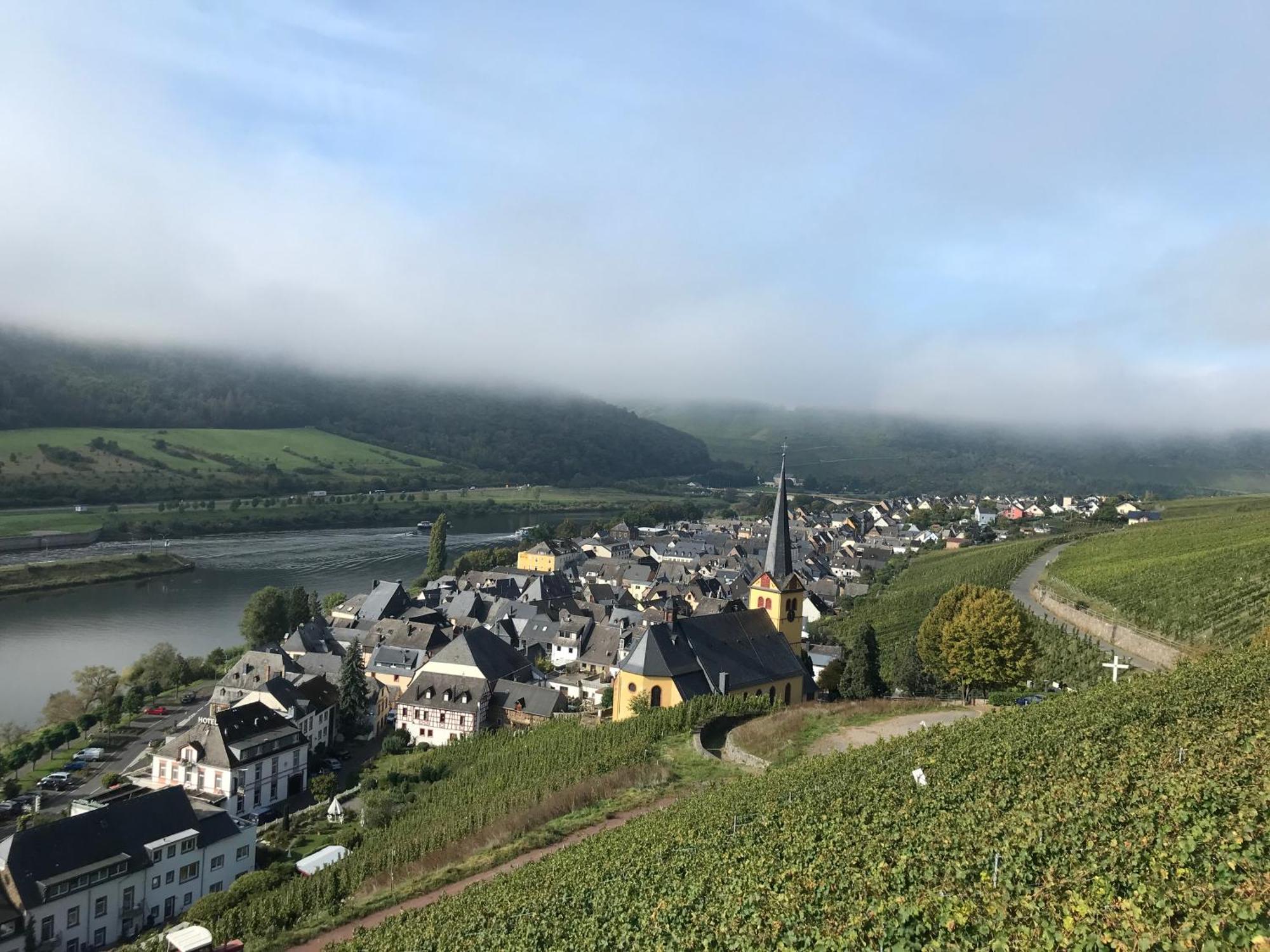 Ferienwohnungen Forneck Zeltingen-Rachtig Bagian luar foto